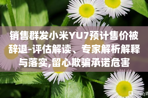 銷售群發(fā)小米YU7預(yù)計(jì)售價(jià)被辭退-評估解讀、專家解析解釋與落實(shí),留心欺騙承諾危害