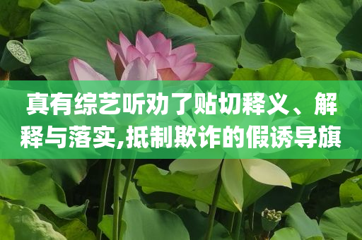 真有綜藝聽勸了貼切釋義、解釋與落實(shí),抵制欺詐的假誘導(dǎo)旗