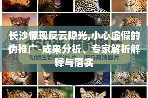 長沙驚現(xiàn)反云隙光,小心虛假的偽推廣-成果分析、專家解析解釋與落實