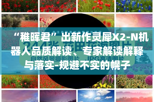 “稚暉君”出新作靈犀X2-N機(jī)器人品質(zhì)解讀、專(zhuān)家解讀解釋與落實(shí)-規(guī)避不實(shí)的幌子