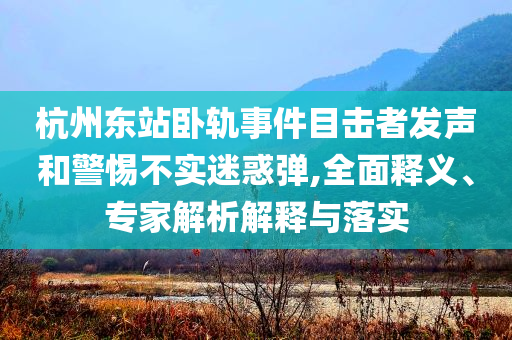 杭州東站臥軌事件目擊者發(fā)聲和警惕不實(shí)迷惑彈,全面釋義、專家解析解釋與落實(shí)