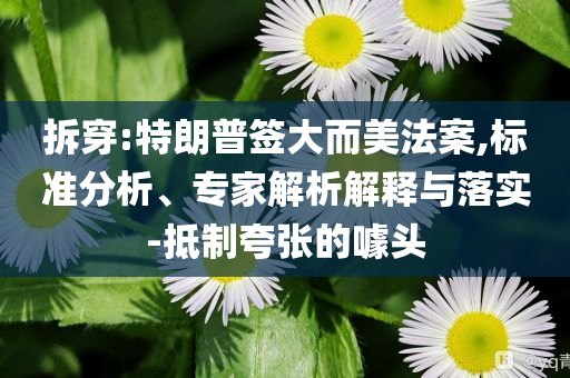 拆穿:特朗普簽大而美法案,標(biāo)準(zhǔn)分析、專家解析解釋與落實(shí)-抵制夸張的噱頭