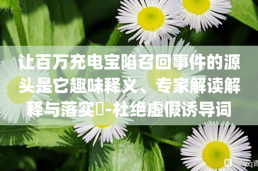 讓百萬(wàn)充電寶陷召回事件的源頭是它趣味釋義、專(zhuān)家解讀解釋與落實(shí)?-杜絕虛假誘導(dǎo)詞
