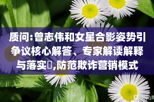 質(zhì)問:曾志偉和女星合影姿勢引爭議核心解答、專家解讀解釋與落實(shí)?,防范欺詐營銷模式
