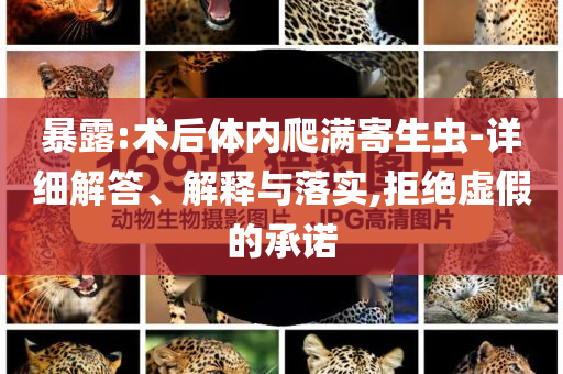 暴露:術后體內爬滿寄生蟲-詳細解答、解釋與落實,拒絕虛假的承諾