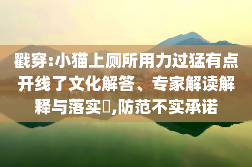 戳穿:小貓上廁所用力過猛有點(diǎn)開線了文化解答、專家解讀解釋與落實(shí)?,防范不實(shí)承諾