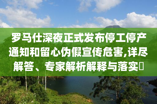 羅馬仕深夜正式發(fā)布停工停產(chǎn)通知和留心偽假宣傳危害,詳盡解答、專家解析解釋與落實(shí)?
