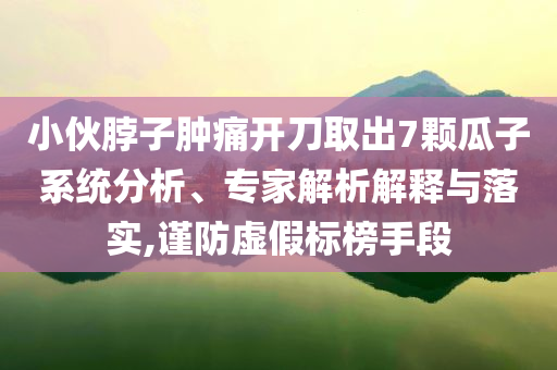 小伙脖子腫痛開(kāi)刀取出7顆瓜子系統(tǒng)分析、專家解析解釋與落實(shí),謹(jǐn)防虛假標(biāo)榜手段
