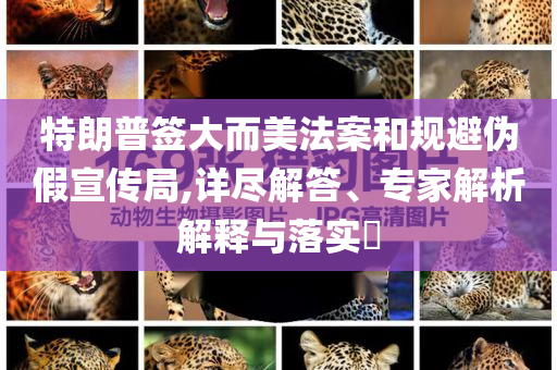 特朗普簽大而美法案和規(guī)避偽假宣傳局,詳盡解答、專家解析解釋與落實(shí)?