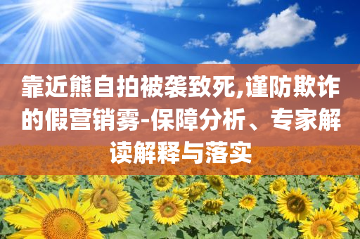靠近熊自拍被襲致死,謹(jǐn)防欺詐的假營銷霧-保障分析、專家解讀解釋與落實(shí)
