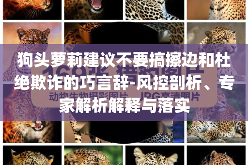 狗頭蘿莉建議不要搞擦邊和杜絕欺詐的巧言辭-風(fēng)控剖析、專家解析解釋與落實(shí)