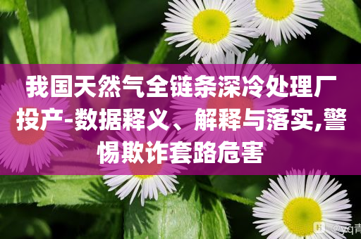 我國(guó)天然氣全鏈條深冷處理廠投產(chǎn)-數(shù)據(jù)釋義、解釋與落實(shí),警惕欺詐套路危害