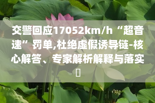 交警回應(yīng)17052km/h“超音速”罰單,杜絕虛假誘導(dǎo)鏈-核心解答、專家解析解釋與落實?