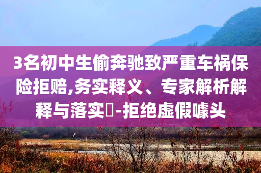 3名初中生偷奔馳致嚴(yán)重車禍保險拒賠,務(wù)實釋義、專家解析解釋與落實?-拒絕虛假噱頭