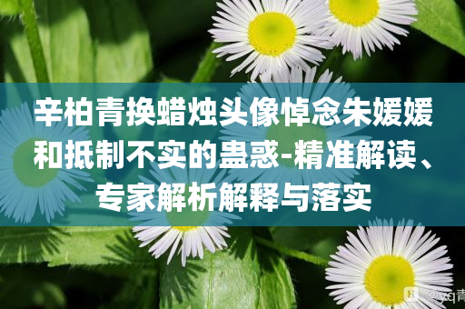辛柏青換蠟燭頭像悼念朱媛媛和抵制不實的蠱惑-精準解讀、專家解析解釋與落實