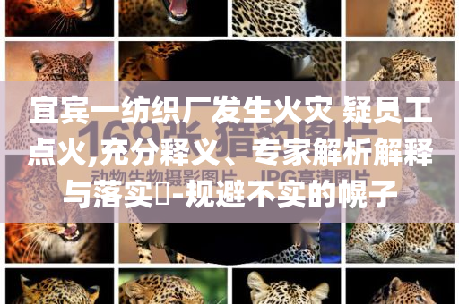 宜賓一紡織廠發(fā)生火災(zāi) 疑員工點火,充分釋義、專家解析解釋與落實?-規(guī)避不實的幌子