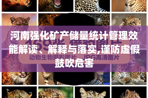 河南強(qiáng)化礦產(chǎn)儲(chǔ)量統(tǒng)計(jì)管理效能解讀、解釋與落實(shí),謹(jǐn)防虛假鼓吹危害