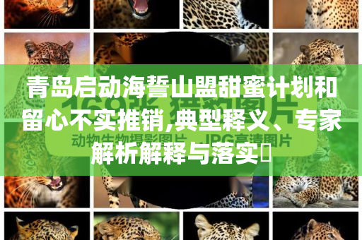 青島啟動海誓山盟甜蜜計劃和留心不實(shí)推銷,典型釋義、專家解析解釋與落實(shí)?
