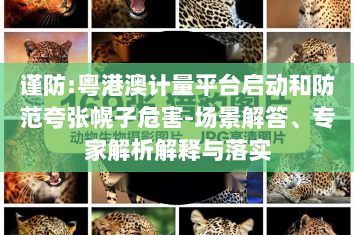 謹(jǐn)防:粵港澳計量平臺啟動和防范夸張幌子危害-場景解答、專家解析解釋與落實