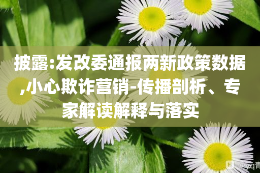 披露:發(fā)改委通報兩新政策數(shù)據(jù),小心欺詐營銷-傳播剖析、專家解讀解釋與落實