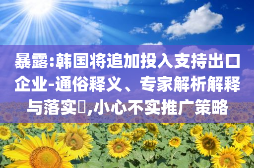 暴露:韓國將追加投入支持出口企業(yè)-通俗釋義、專家解析解釋與落實?,小心不實推廣策略