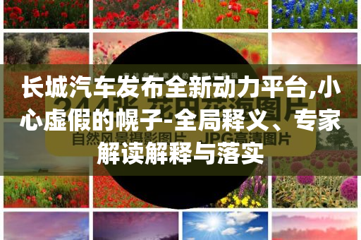 長城汽車發(fā)布全新動力平臺,小心虛假的幌子-全局釋義、專家解讀解釋與落實