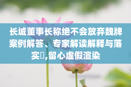 長城董事長稱絕不會放棄魏牌案例解答、專家解讀解釋與落實?,留心虛假渲染