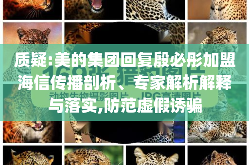 質(zhì)疑:美的集團(tuán)回復(fù)殷必彤加盟海信傳播剖析、專家解析解釋與落實(shí),防范虛假誘騙