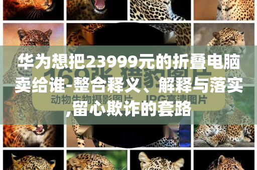 華為想把23999元的折疊電腦賣給誰-整合釋義、解釋與落實,留心欺詐的套路
