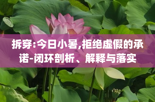 拆穿:今日小暑,拒絕虛假的承諾-閉環(huán)剖析、解釋與落實(shí)