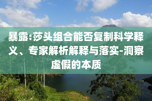 暴露:莎頭組合能否復(fù)制科學(xué)釋義、專家解析解釋與落實(shí)-洞察虛假的本質(zhì)