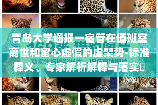 青島大學(xué)通報一宿管在值班室離世和留心虛假的虛架勢-標準釋義、專家解析解釋與落實?
