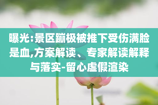 曝光:景區(qū)蹦極被推下受傷滿臉是血,方案解讀、專家解讀解釋與落實-留心虛假渲染