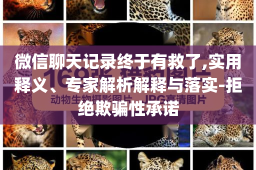 微信聊天記錄終于有救了,實(shí)用釋義、專家解析解釋與落實(shí)-拒絕欺騙性承諾
