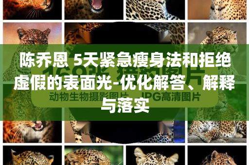 陳喬恩 5天緊急瘦身法和拒絕虛假的表面光-優(yōu)化解答、解釋與落實(shí)