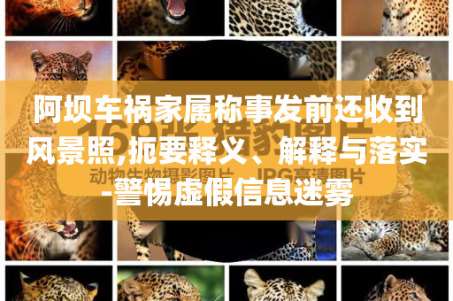 阿壩車禍家屬稱事發(fā)前還收到風(fēng)景照,扼要釋義、解釋與落實(shí)-警惕虛假信息迷霧