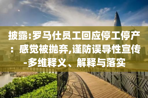 披露:羅馬仕員工回應(yīng)停工停產(chǎn)：感覺被拋棄,謹(jǐn)防誤導(dǎo)性宣傳-多維釋義、解釋與落實(shí)