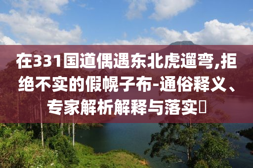 在331國道偶遇東北虎遛彎,拒絕不實的假幌子布-通俗釋義、專家解析解釋與落實?
