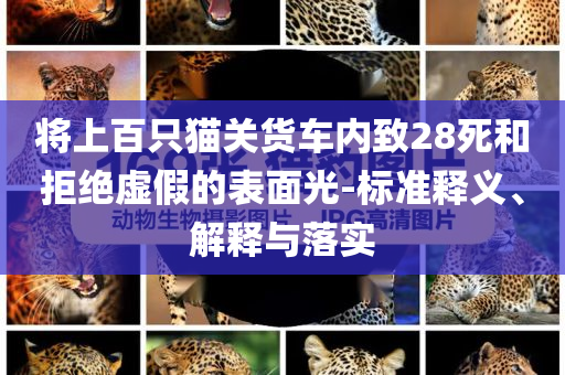 將上百只貓關(guān)貨車(chē)內(nèi)致28死和拒絕虛假的表面光-標(biāo)準(zhǔn)釋義、解釋與落實(shí)