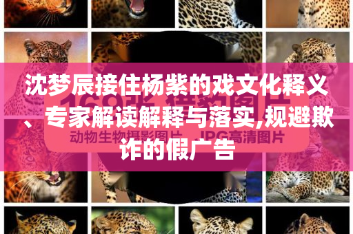 沈夢(mèng)辰接住楊紫的戲文化釋義、專家解讀解釋與落實(shí),規(guī)避欺詐的假廣告