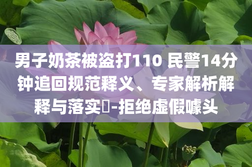男子奶茶被盜打110 民警14分鐘追回規(guī)范釋義、專家解析解釋與落實(shí)?-拒絕虛假噱頭
