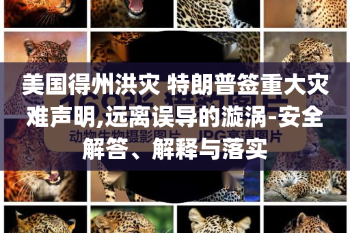 美國得州洪災(zāi) 特朗普簽重大災(zāi)難聲明,遠(yuǎn)離誤導(dǎo)的漩渦-安全解答、解釋與落實(shí)