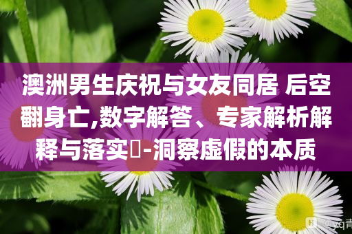 澳洲男生慶祝與女友同居 后空翻身亡,數(shù)字解答、專家解析解釋與落實(shí)?-洞察虛假的本質(zhì)