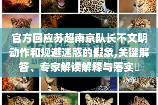 官方回應蘇超南京隊長不文明動作和規(guī)避迷惑的假象,關(guān)鍵解答、專家解讀解釋與落實?