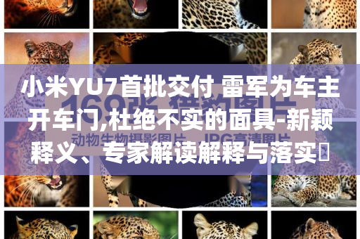 小米YU7首批交付 雷軍為車主開車門,杜絕不實的面具-新穎釋義、專家解讀解釋與落實?