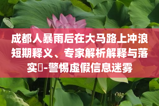 成都人暴雨后在大馬路上沖浪短期釋義、專家解析解釋與落實?-警惕虛假信息迷霧