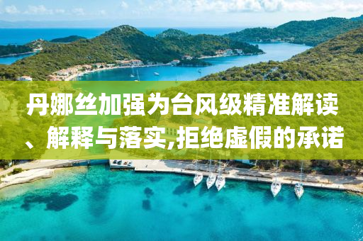 丹娜絲加強為臺風級精準解讀、解釋與落實,拒絕虛假的承諾
