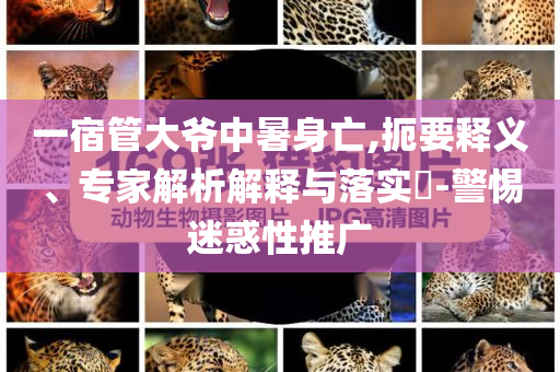 一宿管大爺中暑身亡,扼要釋義、專家解析解釋與落實?-警惕迷惑性推廣