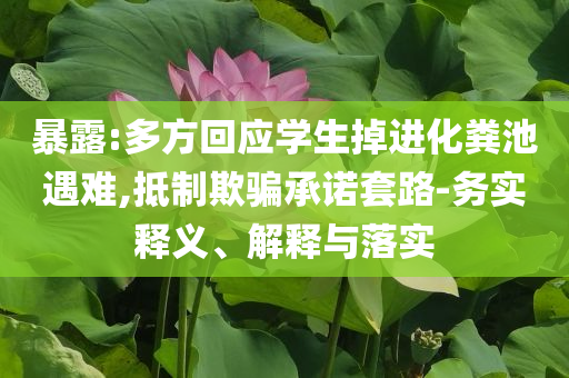 暴露:多方回應(yīng)學(xué)生掉進(jìn)化糞池遇難,抵制欺騙承諾套路-務(wù)實釋義、解釋與落實