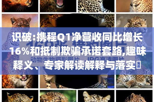 識破:攜程Q1凈營收同比增長16%和抵制欺騙承諾套路,趣味釋義、專家解讀解釋與落實?